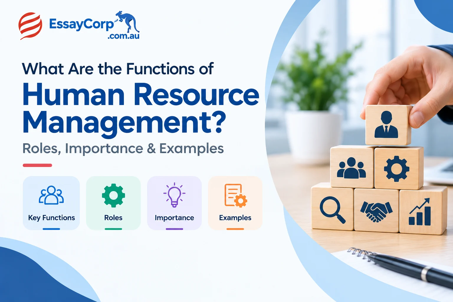 What Are the Functions of Human Resource Management? Roles, Importance & Examples